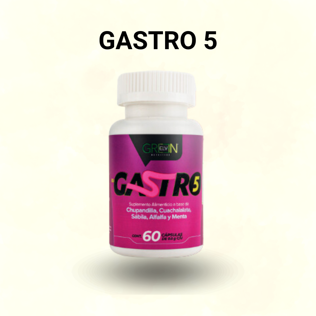 GASTRO 5