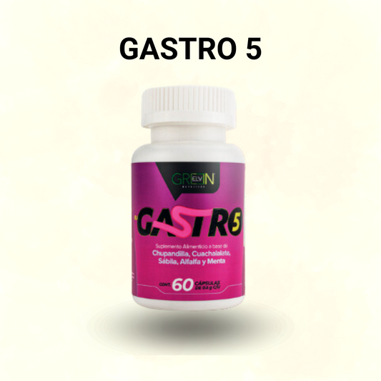 GASTRO 5