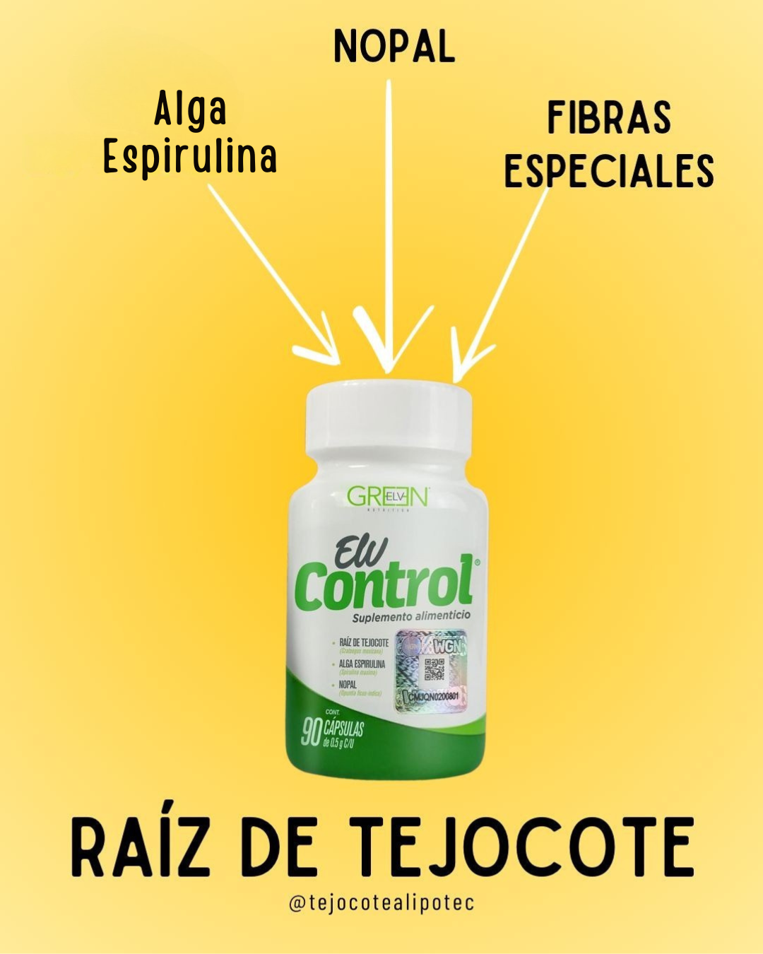 ELV CONTROL