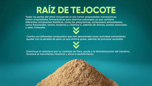 Los increíbles beneficios de la Raíz de Tejocote